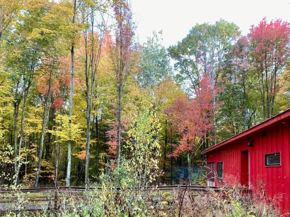 Modern Design in Nature | Luxe Escape